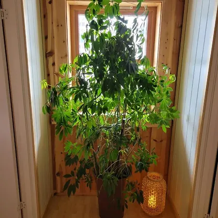 Large, Cozy, Family-friendly Bua Vossestrand
